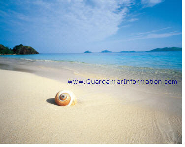 Guardamar Beaches - Up to date information for the beaches in Guardamar